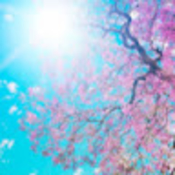 Meet your Posher, Chris - Picture 1 of 1